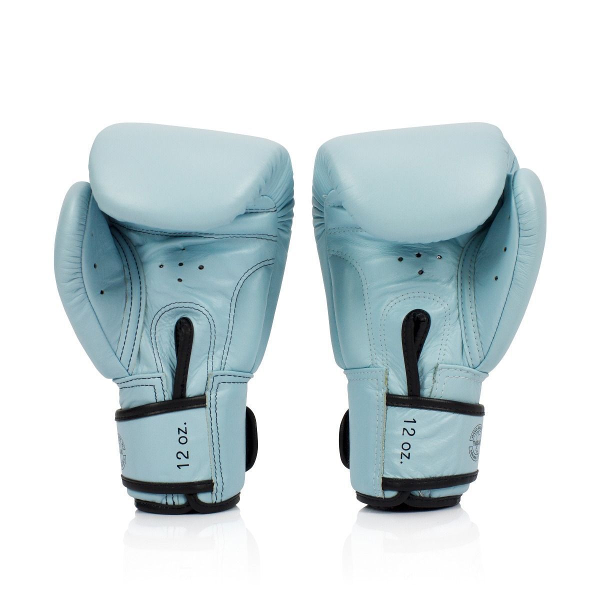 泰拳拳套 Thai boxing gloves Fairtex Gloves BGV20 Light Blue