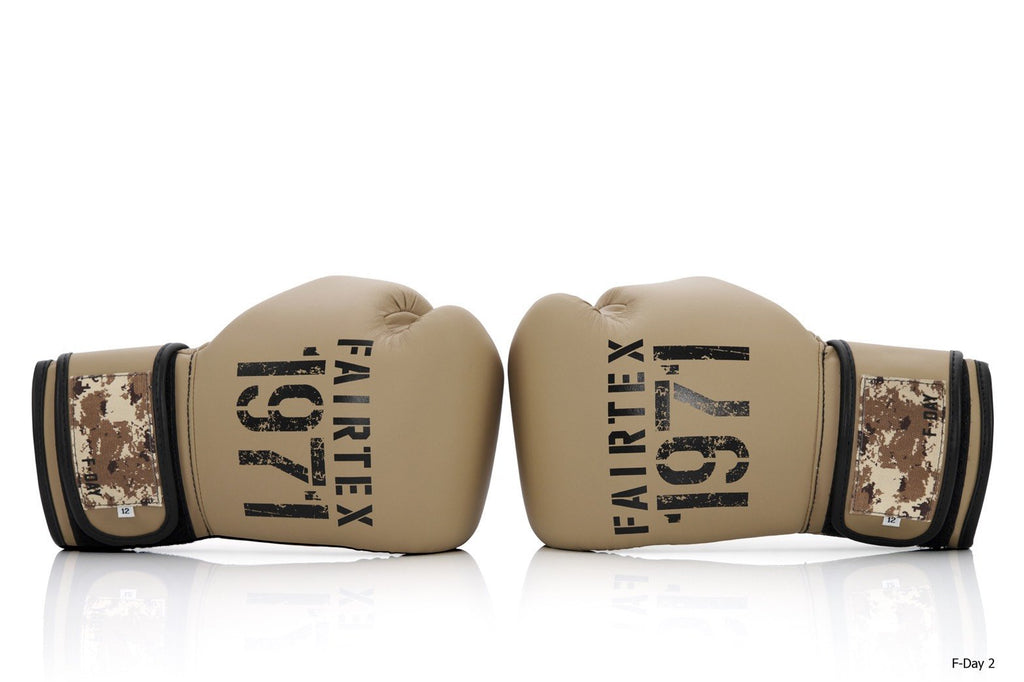 泰拳拳套 Thai boxing Fairtex Boxing Gloves BGV25 F-Day2 in Nylon Box