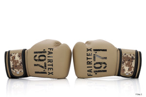 泰拳拳套 Thai boxing Fairtex Boxing Gloves BGV25 F-Day2 in Nylon Box
