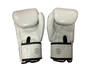 泰拳拳套 Thai Boxing Gloves : Fairtex BGV1 "ONE" White